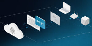 Basic Intrusion Detection System Graphic