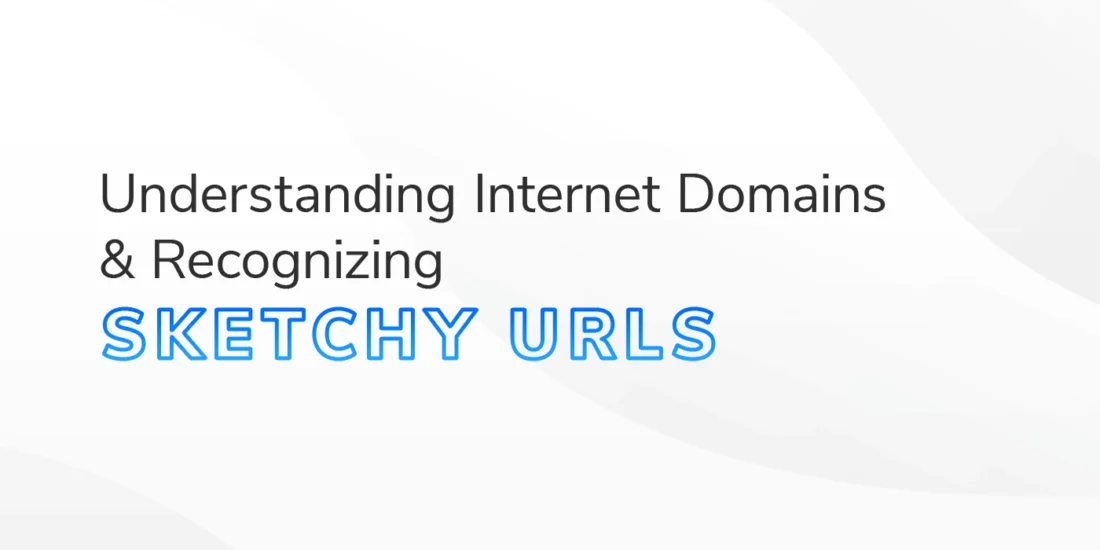 Banner with the text 'Understanding Internet Domains & Recognizing Sketchy URLs' in bold, with 'Sketchy URLs' highlighted in blue. The background features abstract wavy patterns in soft gray and white tones.