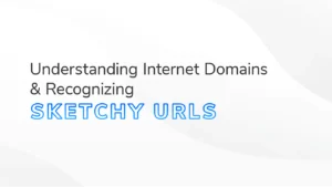 Banner with the text 'Understanding Internet Domains & Recognizing Sketchy URLs' in bold, with 'Sketchy URLs' highlighted in blue. The background features abstract wavy patterns in soft gray and white tones.