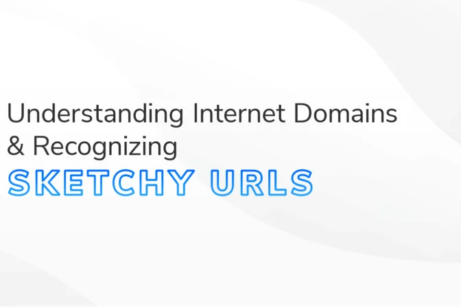 Banner with the text 'Understanding Internet Domains & Recognizing Sketchy URLs' in bold, with 'Sketchy URLs' highlighted in blue. The background features abstract wavy patterns in soft gray and white tones.