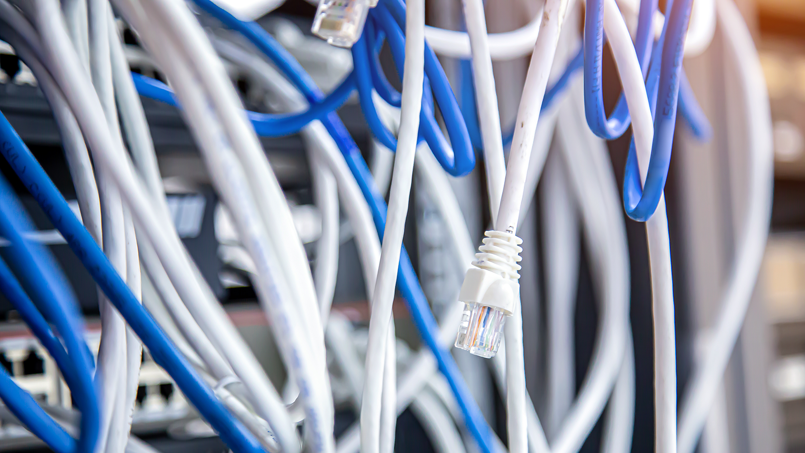 Close-up of blue and white network cables in a server rack, highlighting the importance of organized cable management in data centers.