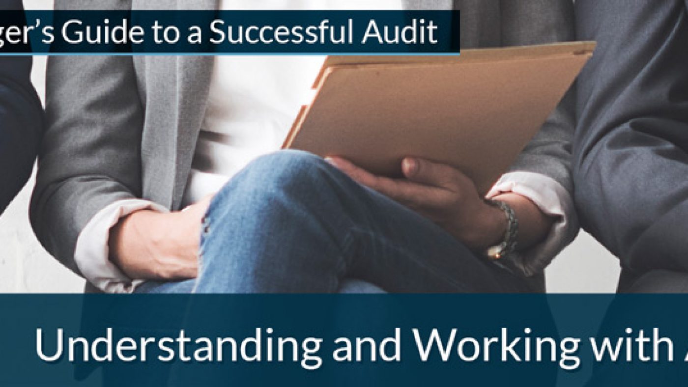 Understanding and Working with Auditors